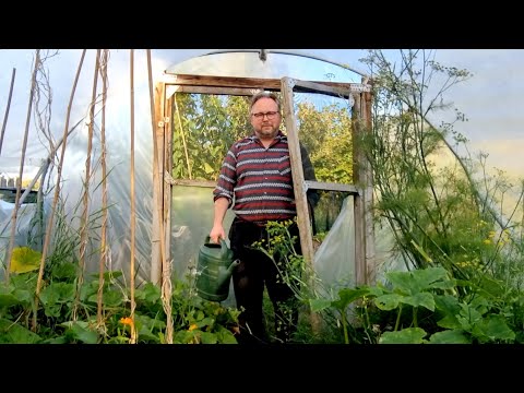 Video thumbnail for Polytunnel
