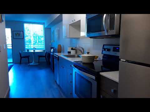 Angeline Apartments | Seattle, WA | Studio Ancho Floor Plan Walk-Through