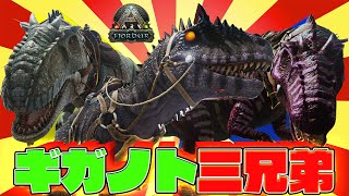 【フィヨルド】特別編⁉新恐竜"カルカロンドントサウルス"とギガノトサウルスをコンプリートせよ!! #02【漂流ARKコンプリートの旅"フィヨルド"】