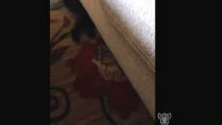 Jameson's journey #93