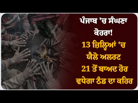 ਪੰਜਾਬ 'ਚ ਸੰਘਣਾ ਕੋਹਰਾ! 13 ਜ਼ਿਲ੍ਹਿਆਂ 'ਚ ਯੈਲੋ ਅਲਰਟ, 21 ਤੋਂ ਬਾਅਦ ਹੋਰ ਵਧੇਗਾ ਠੰਡ ਦਾ ਕਹਿਰ !