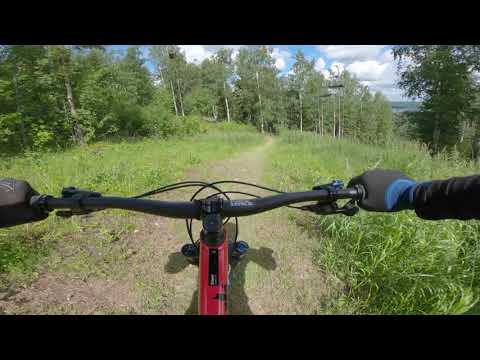 Tahko DH track 3 oldschool