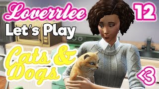 Cats & Dogs #12: Rejoice in the Roomba!