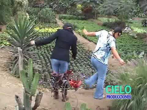 PICAROS DE LA JARANA - TU ME PIDES QUE TE OLVIDE