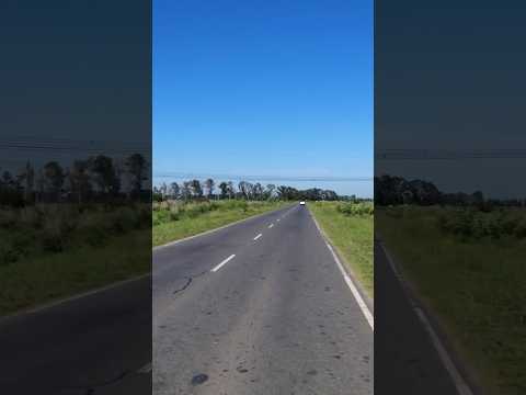 Campo y Vacas en la Av. Néstor Kirchner en Guernica partido de Presidente Perón Buenos Aires