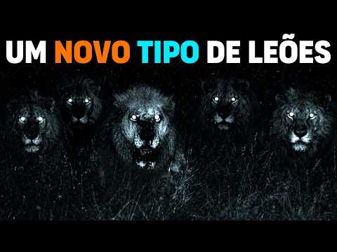 🚨 THEY ARE NOT NORMAL! The MOST FEARED lion pride in Africa HAS EMEGERD