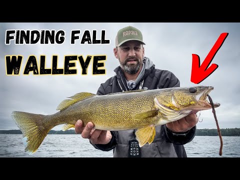 3 FALL Walleye Locations (& How to Catch Them There!)
