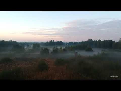 Drone Beekbergerwoud