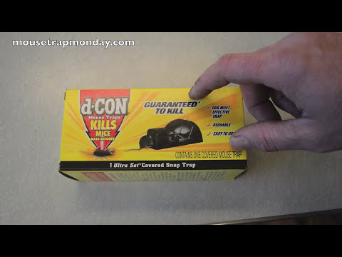 d-CON Ultra Set  Covered Mouse Trap In Action - Full Review.. Mouse Trap Monday. Video