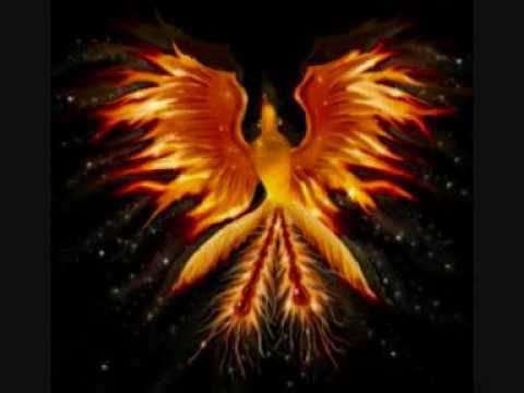 Kraftschlag-Phönix aus der Asche