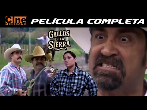 Gallos de la Sierra | Película Completa | Cine Mexicano | Chelelo