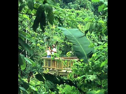 Mi Novia Ceiba - Los Silver Star