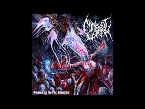 MAGGOT COLONY -  Into the Superior Manipulation