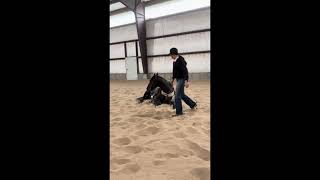 Video 1