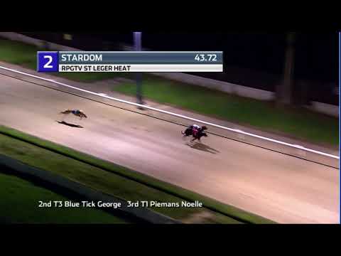 2020 RPGTV ST LEGER - HEAT 6 - T2 STARDOM