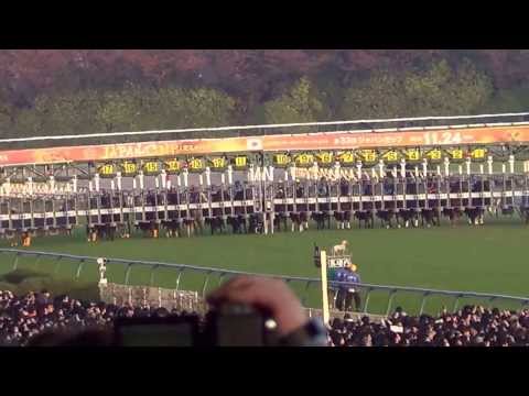 2013 ジャパンカップ ジェンティルドンナ JAPAN CUP Gentildonna