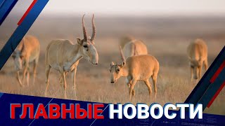27.07.2022 20:00 Главные новости