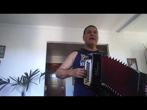 Antonio carlos acordeonista,timbre de galo