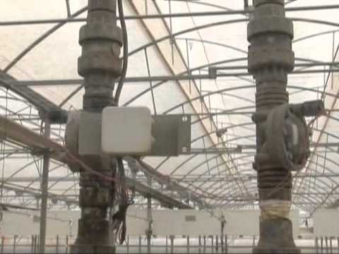 Fotograma del vídeo: Semilleros