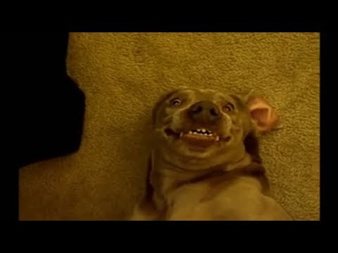 RBS Notícias - RBS TV (TV GLOBO/RS)