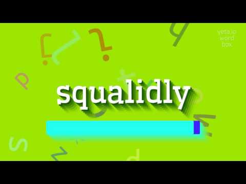 SQUALIDLY - HOW TO PRONOUNCE SQUALIDLY? #squalidly