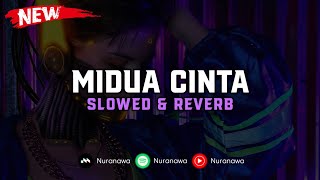 Download lagu DJ Midua Cinta ( Slowed & Reverb ) 🎧 mp3