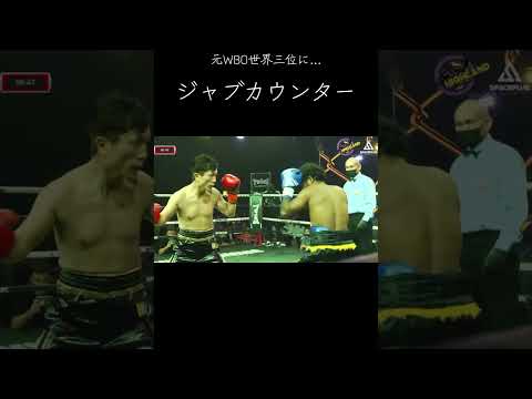 元WBO世界三位、インドネシア王者にジャブカウンター