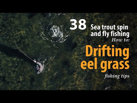 How to • Sea trout - Spin and fly fishing • Drifting eel grass • fishing tips