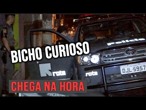 A busybody appeared on Rota's approach.