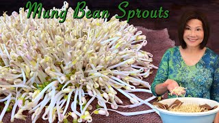 How to Sprout Mung Beans - Done Right and Perfect Every Time  發綠豆芽
