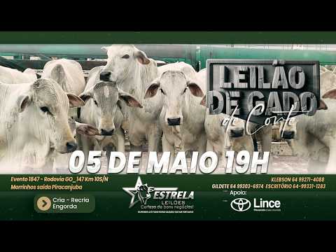 ESTRELA LEILÕES  - AO VIVO - 05/05/2026  -  19H - MORRINHOS - GOIÁS