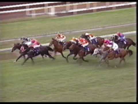 1994 QTC Sires Produce and QLD Oaks