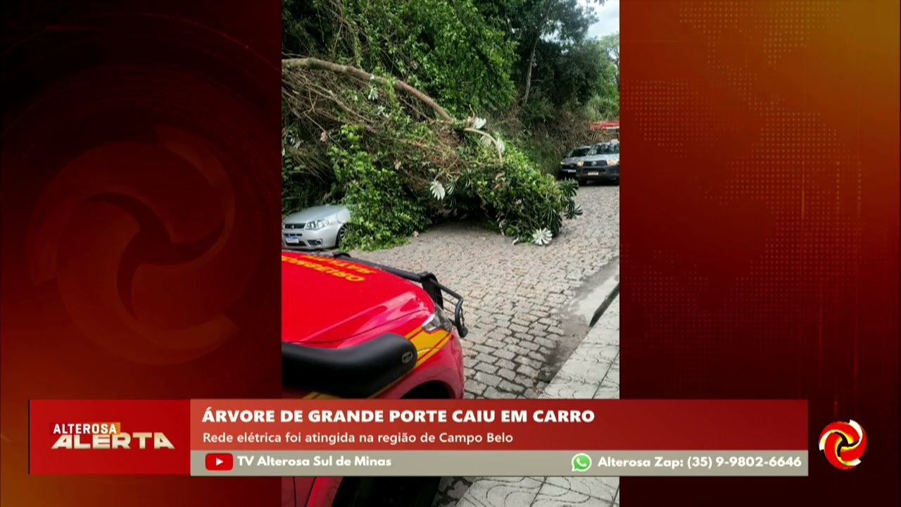 Árvore cai sobre carro e atinge rede elétrica em Campo Belo