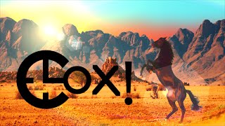 Video Clox! - 4 Wild Horses [ Lyric video ]