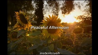 Peaceful afternoon- Rufus Wainwright (subtitulada inglés/español)
