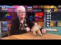 Tiny Persijn (78) verloor haar zus bij schietpartij in de oorlog [RTV Utrecht]