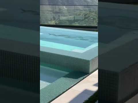 Hungry snake:)funny video. Mother nature. #Shorts, #MoreViews, #Hashtags