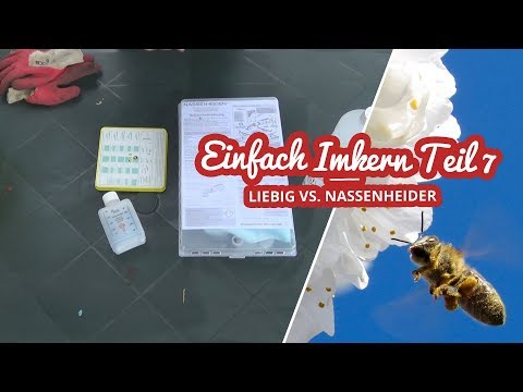 Liebig Dispenser vs. Nassenheider Prof. | Einfach Imkern Teil 7