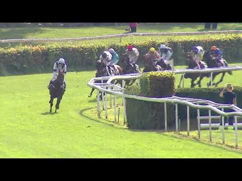 Dielsdorf/22.09.2019/38. St. Leger - St. Leger Club of Lucerne