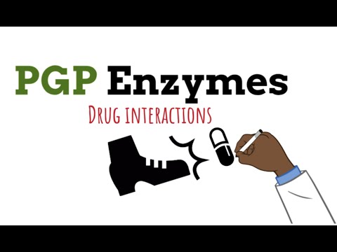 Wechselwirkungen zwischen P-Glykoprotein-Enzymen und Medikamenten – EINFACH GEMACHT in 3 MINUTEN