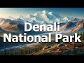 Denali National Park - Full Travel Guide for 2024