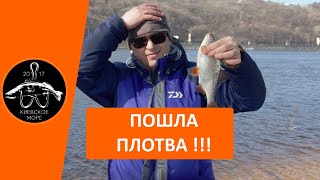 Ссылка
