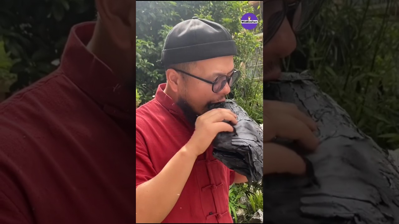 Lotus Leaf Charcoal In China #shorts #ytshorts