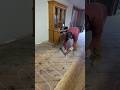 Easy Subfloor Adhesive