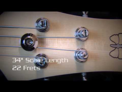 Bass Club Chicago Demo - Fodera Monarch-P