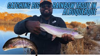 Catching Big Rainbow Trout at Tingley Beach, Local Pond in Albuquerque #newmexico