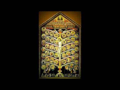 Dominica VI quae superfuit Post Epiphaniam - GRADUALE