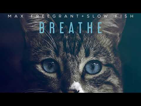 Max Freegrant & Slow Fish - Breathe