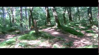 preview picture of video 'De Veldslag om Norg 2014 in het bos'