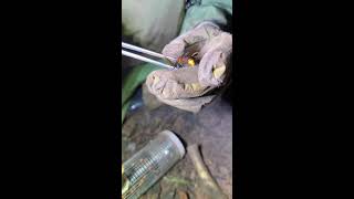 BoyQuang phát trực tiếp 